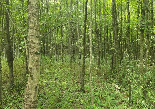 Land for sale at 506 Cherry St, Blanchester, OH 45107 | MLS# 1888167
