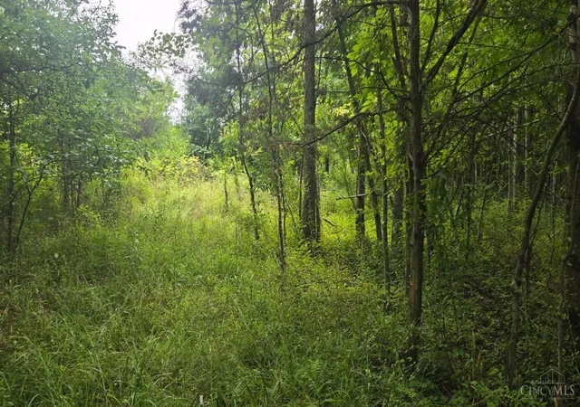 Photo 2 of Land for sale at 506 Cherry St, Blanchester, OH 45107 | MLS# 1888167 | Listing updated on 2026-07-27