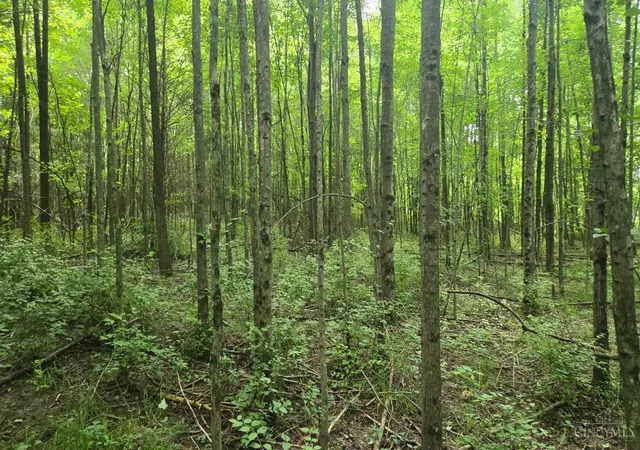 Photo 3 of Land for sale at 506 Cherry St, Blanchester, OH 45107 | MLS# 1888167 | Listing updated on 2026-07-27