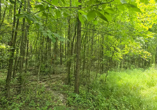 Photo 4 of Land for sale at 506 Cherry St, Blanchester, OH 45107 | MLS# 1888167 | Listing updated on 2026-07-27