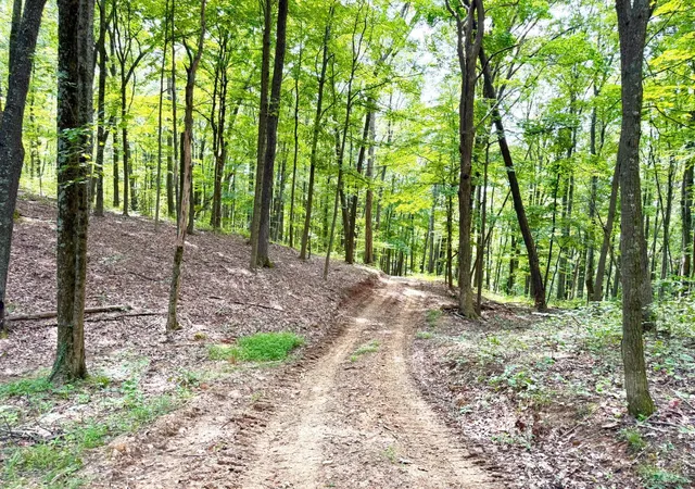 Photo 3 of Land for sale at 13568 St Rt 73, Peebles, OH 45660 | MLS# 1888364 | Listing updated on 2026-07-28