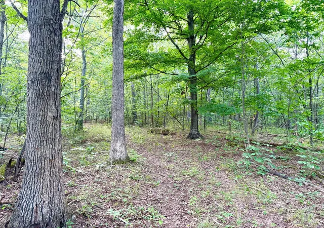 1st image of Sr 73, Peebles, OH 45660 | MLS# 1888562