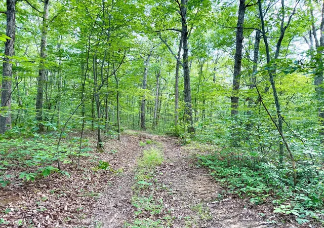 3rd image of Sr 73, Peebles, OH 45660 | MLS# 1888562