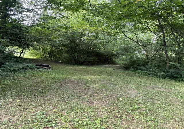 70th image of 2019 Adams Rd, Cincinnati, OH 45231 | MLS# 1888617