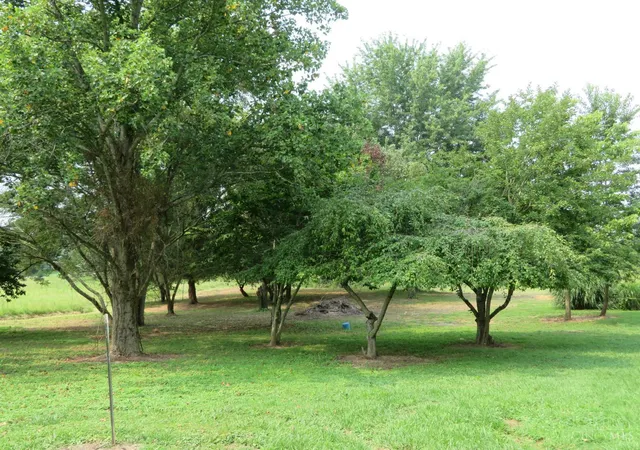 38th image of 4263 State Route 73, Hillsboro, OH 45133 | MLS# 1888355