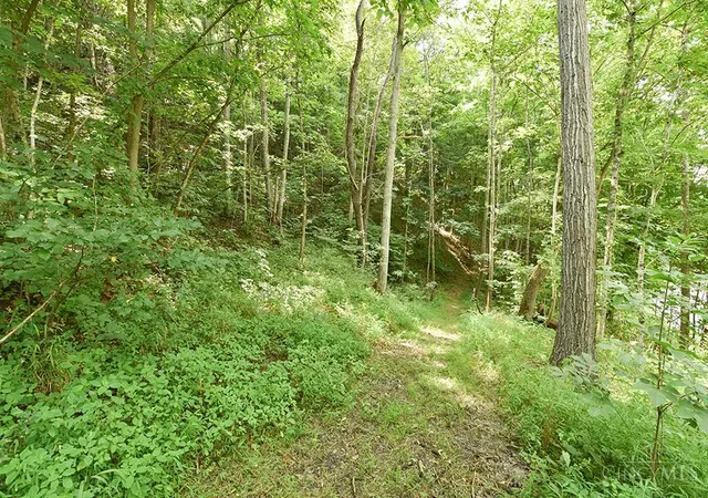 Photo 2 of Land for sale at 182 Sunfish Crk Rd #1, Piketon, OH 45661 | MLS# 1889132 | Listing updated on 2026-08-13