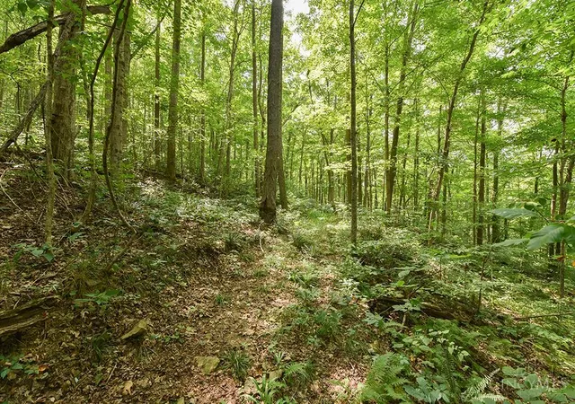 Photo 3 of Land for sale at 182 Sunfish Crk Rd #1, Piketon, OH 45661 | MLS# 1889132 | Listing updated on 2026-08-13