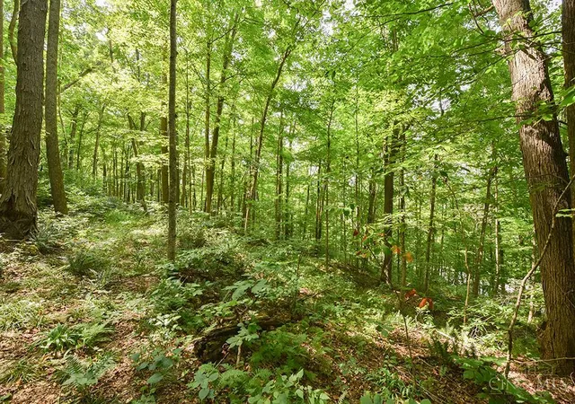 Photo 3 of Land for sale at 182 Sunfish Crk Rd #1, Piketon, OH 45661 | MLS# 1889132 | Listing updated on 2026-08-13
