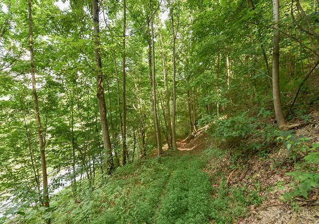 Photo 4 of Land for sale at 182 Sunfish Crk Rd #1, Piketon, OH 45661 | MLS# 1889132 | Listing updated on 2026-08-13