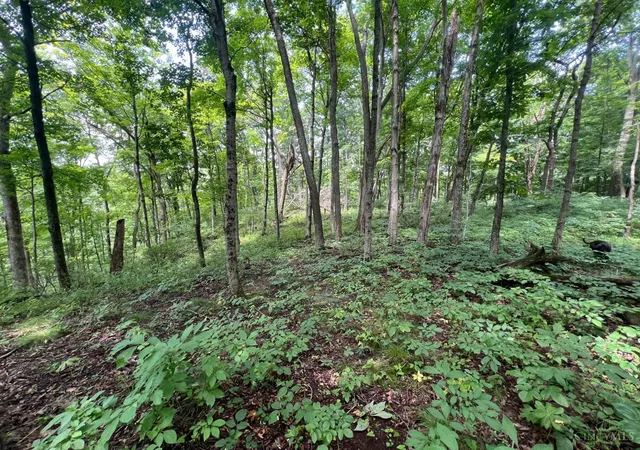 3rd image of 1900 Cruey Ln, Batavia, OH 45103 | MLS# 1889248