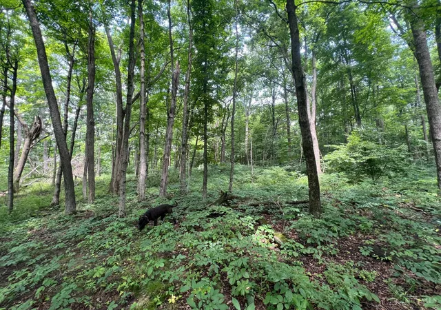 4th image of 1900 Cruey Ln, Batavia, OH 45103 | MLS# 1889248