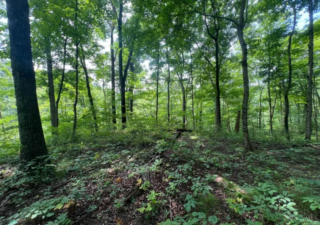 5th image of 1900 Cruey Ln, Batavia, OH 45103 | MLS# 1889248