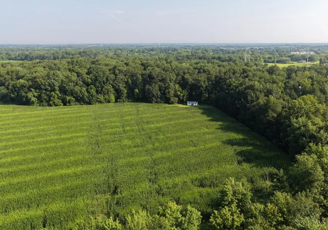 5th image of 28 Hatt-Swank Rd, Loveland, OH 45140 | MLS# 1889233