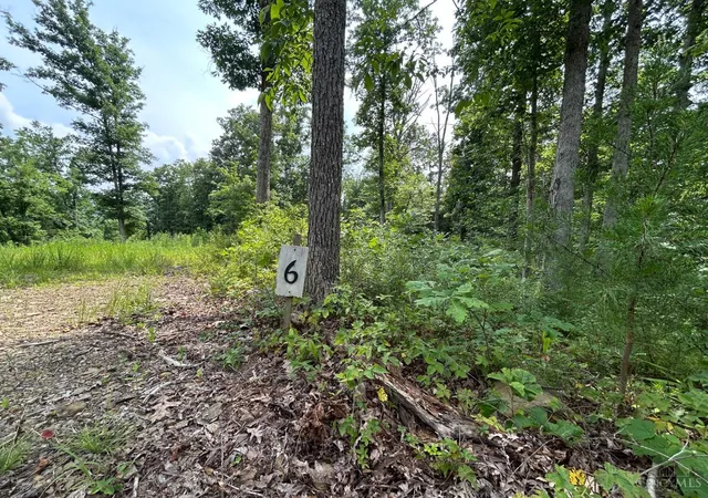 2nd image of 5786 State Route 781, Peebles, OH 45660 | MLS# 1889477