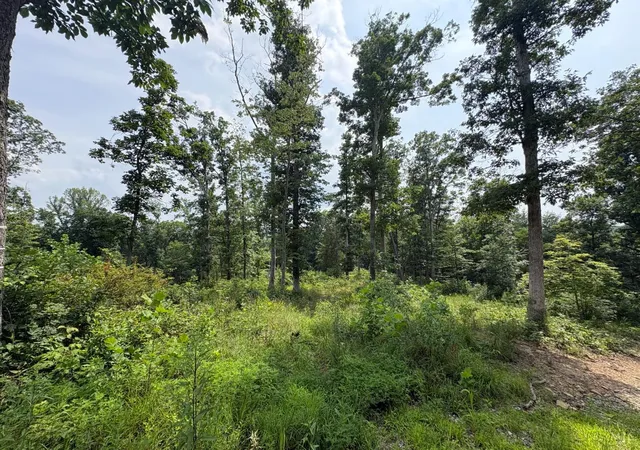 Photo 3 of Land for sale at 5786 St Rt 781, Peebles, OH 45660 | MLS# 1889477 | Listing updated on 2026-08-06