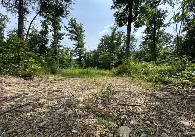 Photo 3 of Land for sale at 5786 St Rt 781, Peebles, OH 45660 | MLS# 1889477 | Listing updated on 2026-08-06