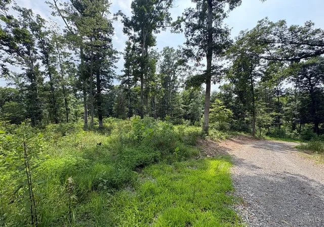Photo 4 of Land for sale at 5786 St Rt 781, Peebles, OH 45660 | MLS# 1889477 | Listing updated on 2026-08-06