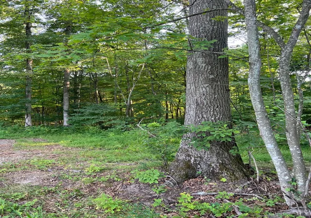5th image of Tabernacle, Scioto Twp, OH 45601 | MLS# 1889775