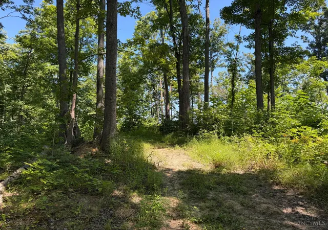 4th image of 63 S Upper Twin Rd, South Salem, OH 45681 | MLS# 1889945