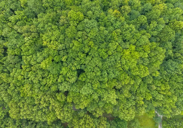 3rd image of Moore Rd, Bethel, OH 45106 | MLS# 1890368