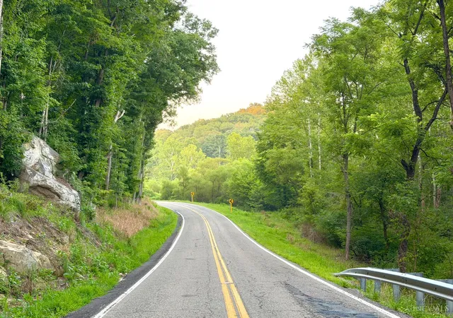 Photo 2 of Land for sale at St Rt 325, Morgan Twp, OH 45686 | MLS# 1890684 | Listing updated on 2026-08-18