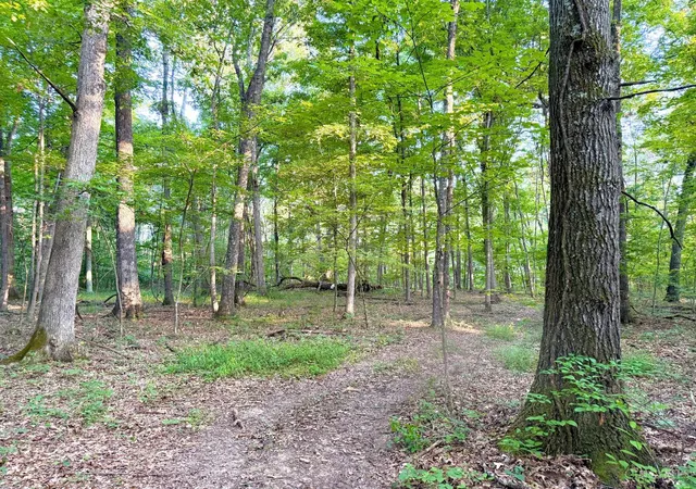 Photo 4 of Land for sale at Keesee Rd, Morgan Twp, OH 45686 | MLS# 1890728 | Listing updated on 2026-08-17