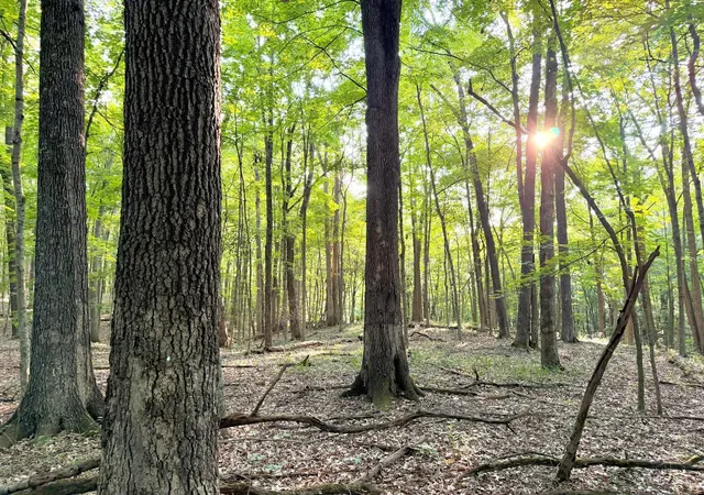 Photo 5 of Land for sale at Keesee Rd, Morgan Twp, OH 45686 | MLS# 1890728 | Listing updated on 2026-08-17