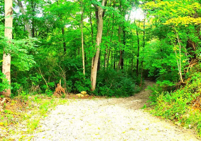 Photo 1 of Land for sale at 10415 E Miami River Rd, Colerain Twp, OH 45252 | MLS# 1890762 | Listing updated on 2026-08-18