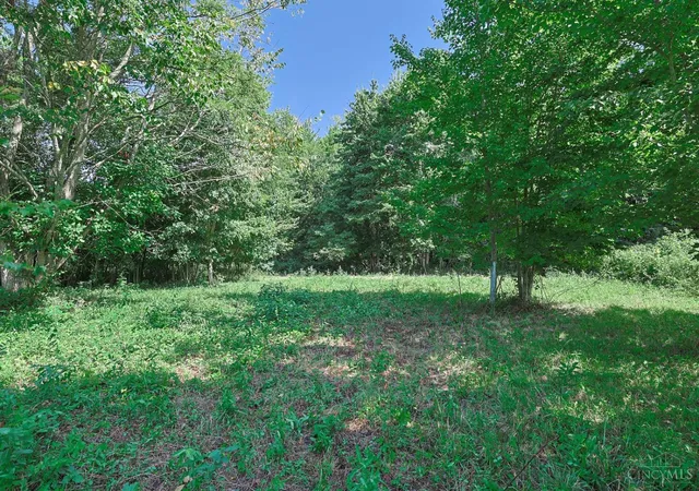 5th image of Richey Rd, Franklin Twp, OH 45120 | MLS# 1890774