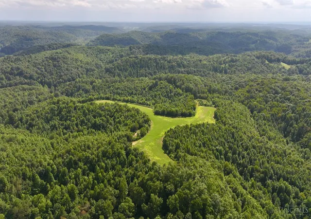 1st image of Lick Run Lyra Rd, South Webster, OH 45682 | MLS# 1891037