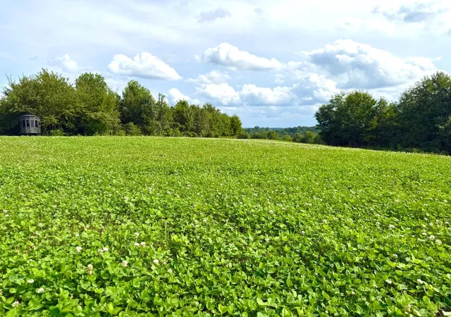 2nd image of Lick Run Lyra Rd, South Webster, OH 45682 | MLS# 1891037