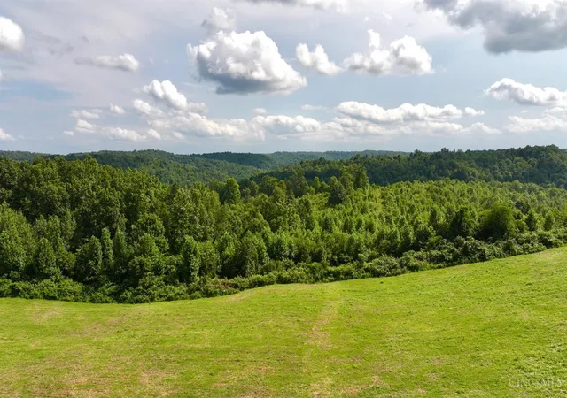 3rd image of Lick Run Lyra Rd, South Webster, OH 45682 | MLS# 1891037