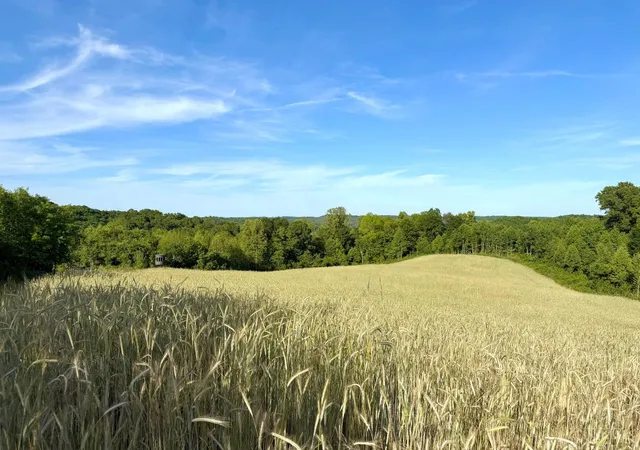 5th image of Lick Run Lyra Rd, South Webster, OH 45682 | MLS# 1891037