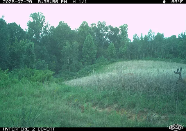 99th image of Lick Run Lyra Rd, South Webster, OH 45682 | MLS# 1891037