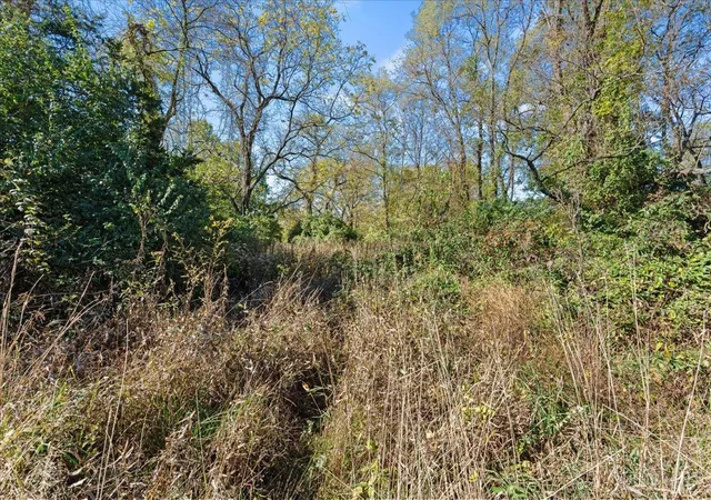 Photo 4 of Land for sale at 20 White Swan Rd, Georgetown, OH 45121 | MLS# 1898415 | Listing updated on 2026-10-30