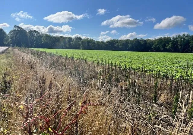 Photo 3 of Land for sale at 5656 E O Ave, Kalamazoo, MI 49048 | MLS# 70499755 | Listing updated on 2026-04-13