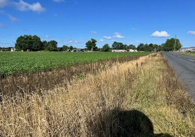 Photo 3 of Land for sale at 5656 E O Ave, Kalamazoo, MI 49048 | MLS# 70499755 | Listing updated on 2026-04-13