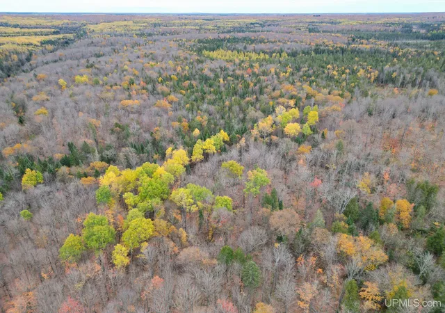 Homes for sale in Crystal Falls, MI | 500 Fence River Rd, Crystal Falls, MI 49920 | MLS# 50191876