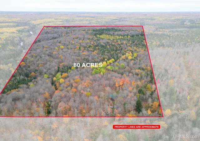Homes for sale in Crystal Falls, MI | 500 Fence River Rd, Crystal Falls, MI 49920 | MLS# 50191876