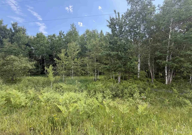 Photo 3 of Land for sale at Parcel C Bellaire Rd, Baraga, MI 49908 | MLS# 50211768 | Listing updated on 2026-06-17