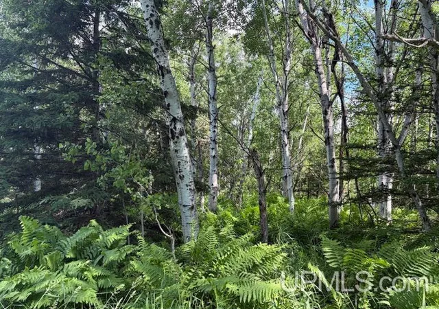 Photo 4 of Land for sale at Parcel C Bellaire Rd, Baraga, MI 49908 | MLS# 50211768 | Listing updated on 2026-06-17