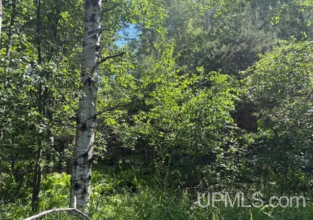 Photo 5 of Land for sale at Parcel C Bellaire Rd, Baraga, MI 49908 | MLS# 50211768 | Listing updated on 2026-06-17