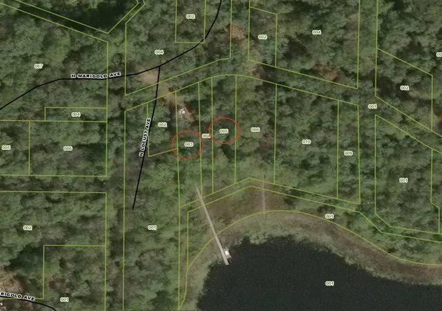 Homes for sale in Bitely, MI | 8100 N Marigold Ave, Bitely, MI 49309 | MLS# 70536963