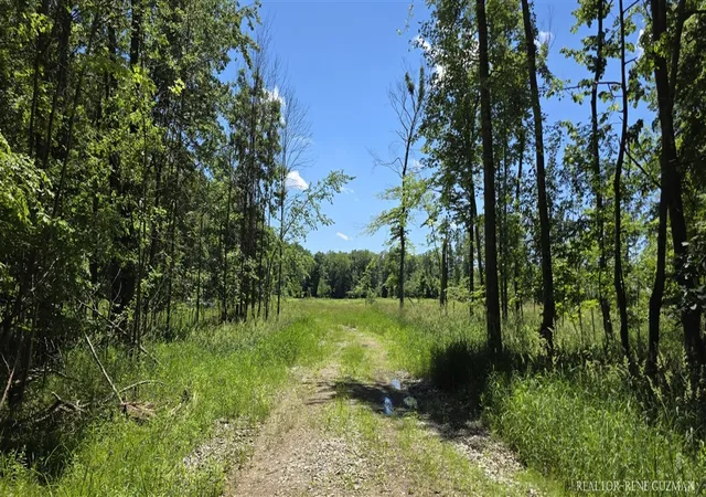 Homes for sale in Cedar Springs, MI | 8250 14 Mile Rd, Cedar Springs, MI 49319 | MLS# 70539378