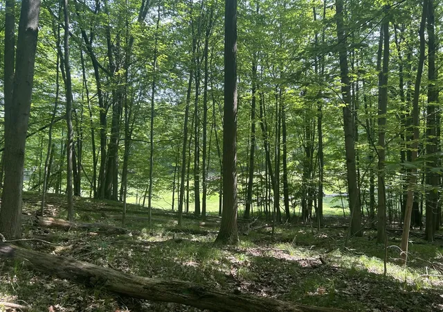 Photo 3 of Land for sale at 9570 Pere Marquette Dr, Stanwood, MI 49346 | MLS# 70517921 | Listing updated on 2026-08-01