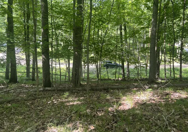 Photo 4 of Land for sale at 9570 Pere Marquette Dr, Stanwood, MI 49346 | MLS# 70517921 | Listing updated on 2026-08-01