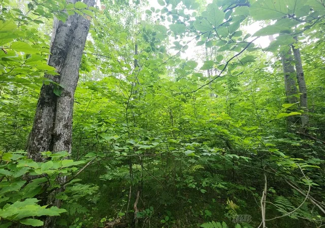 Photo 1 of Sale Pending at 1 Acre W Monroe Rd, Harrison, MI 48625 | MLS# 50179712 | Listing updated on 2026-06-07