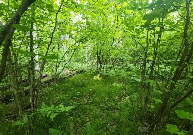 Photo 2 of Sale Pending at 1 Acre W Monroe Rd, Harrison, MI 48625 | MLS# 50179712 | Listing updated on 2026-06-07