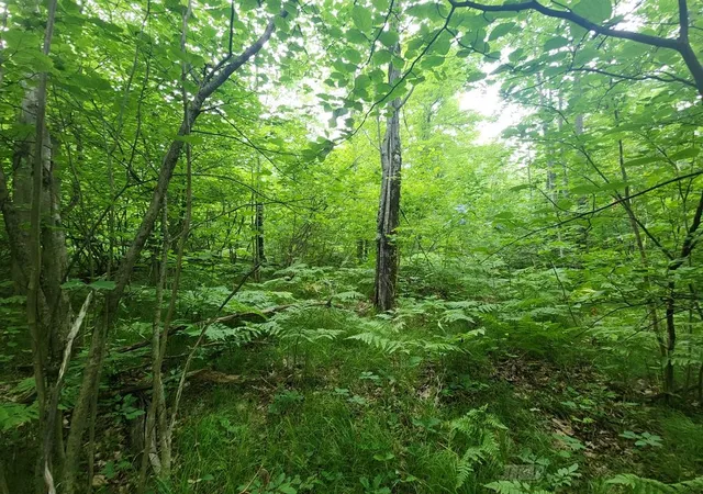 Photo 3 of Sale Pending at 1 Acre W Monroe Rd, Harrison, MI 48625 | MLS# 50179712 | Listing updated on 2026-06-07