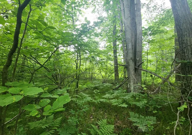 Photo 3 of Sale Pending at 1 Acre W Monroe Rd, Harrison, MI 48625 | MLS# 50179712 | Listing updated on 2026-06-07